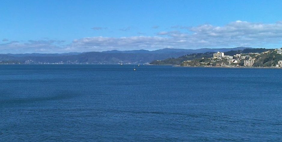 Looking towards Eastbourne from Wellington CBD