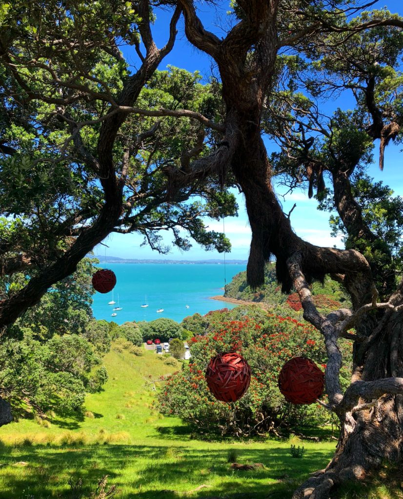 summer on waiheke island, reflections on 2018