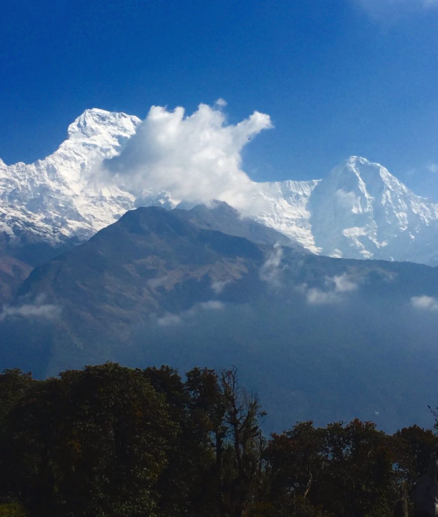 Poon Hill Circuit - views of a snow capped mountain topped with clouds and trees in the foreground.