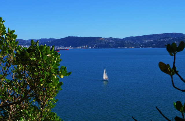 View from Somes Island, Wellington.