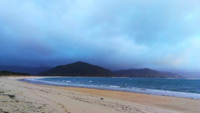 A beach in Abel Tasman national park.