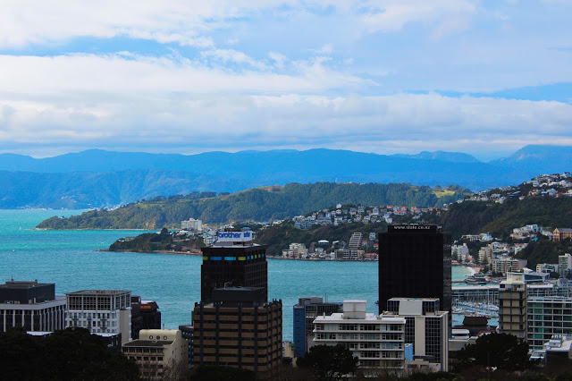 View across Wellington from the Botanic Gardens, Aotearoa.