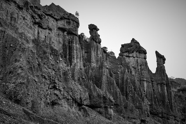 The Pinnacles at Cape Palliser.