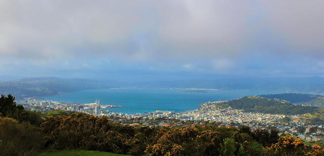 View from the Turbine Hill across Wellington.