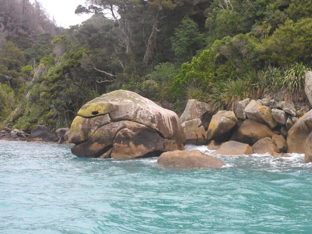 Ninja turtle shaped rock, Abel Tasman