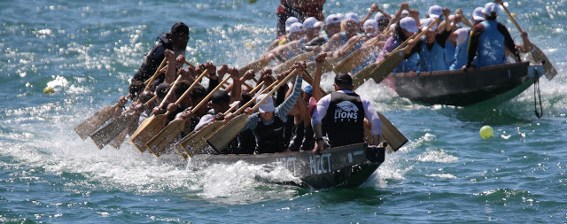 Dragon boat racing Aotearoa.