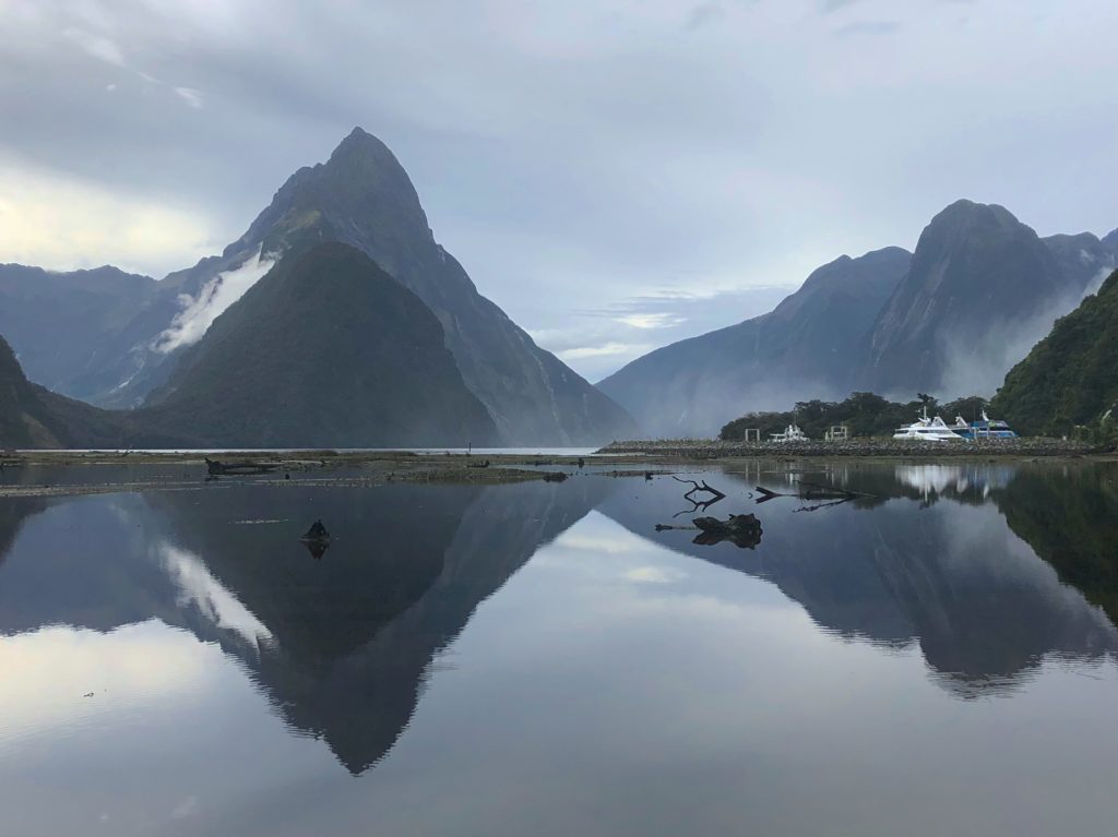 2019 trips - New Zealand in January.