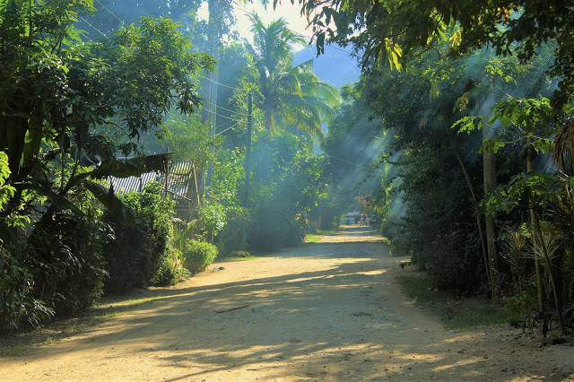 travel when not travelling - sunlight filtering through trees on a dusty, empty road in the Philippines