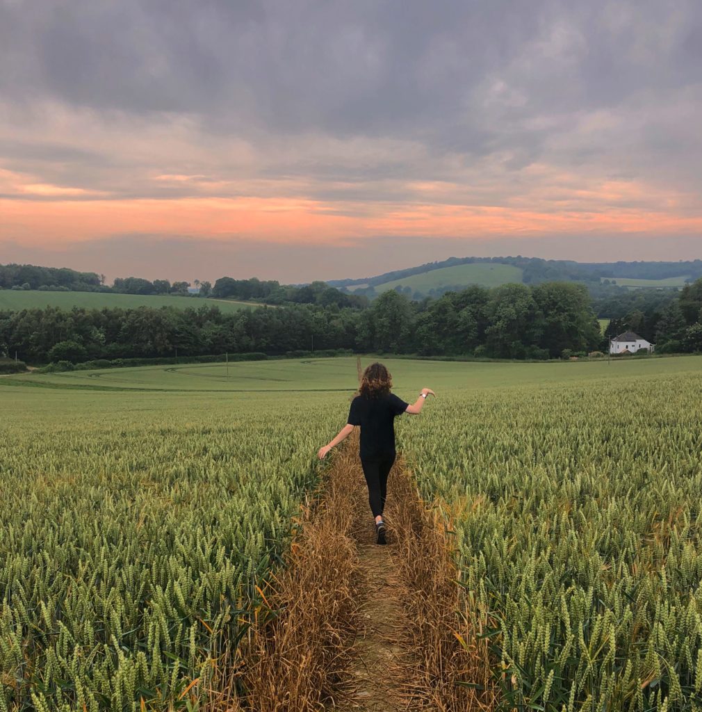 Walking through the fields of wheat in Kent
