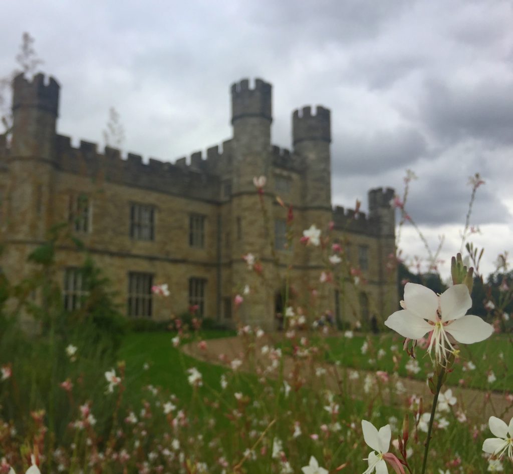 Leeds Castle, Kent. The front of the castle slightly blurry with a group of white, delicate flowers at the front of the image in focus.