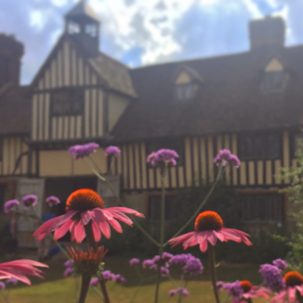 Ightham Mote, Kent. Timber framed building slightly blurred in the background, with colourful pink and purple flowers in focus in the foreground.