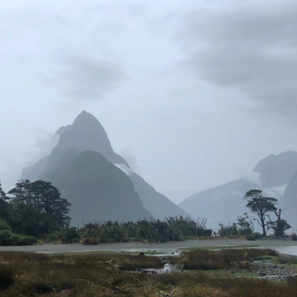 bloggers that inspire me - Mitre Peak in New Zealand - a moody grey sky with the mountains shrouded in clouds and then trees and bushes in the foreground.