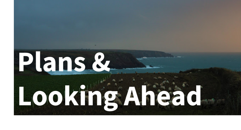 Reviews: Planning - text overlaying an image of the sea coming up to meet the cliffs, near nightfall. An orange glow is in the sky and some sheep are grazing in the foreground.