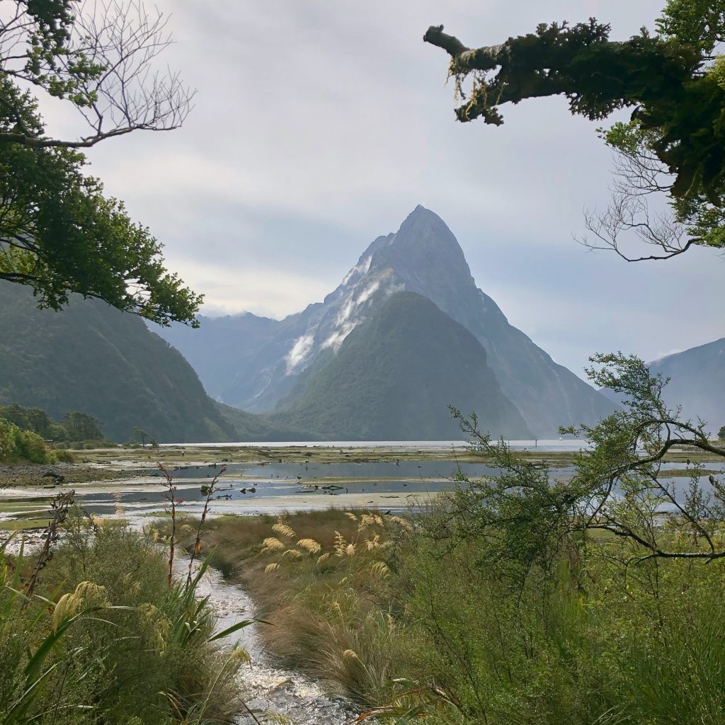 Bucket list. Milford Sound. Foliage and trees frame the shot, which focuses on Mitre Peak - a triangular shaped single mountain in front of a body of still water.