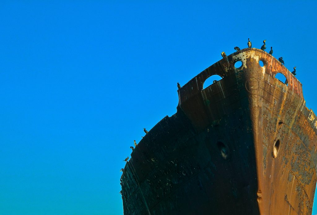 A blue sky with the rusting hulk of a big boat against it. The photo is taken from below. The boat has cormorants perched on the edge.