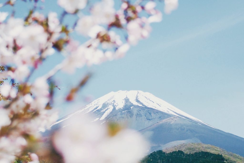 Bucket list. Cherry blossom out of focus with Mount Fuji, covered in snow, in focus in the background.