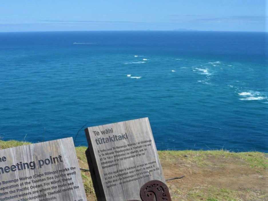 Cape Reinga. Two wooden signs with writing about the cape in both Maori and English. Over the cliff edge, a horizon of blue ocean and blue sky, with white waves where the Tasman and Pacific meet.