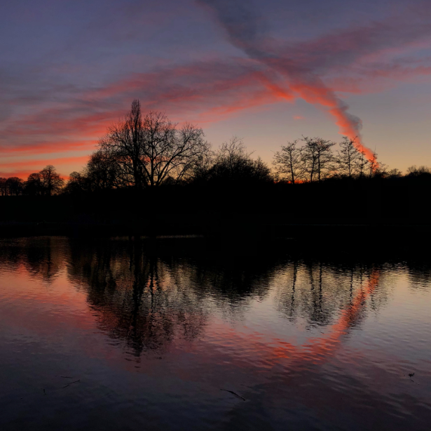Q1 2020 - sunset over a pond on Hampstead Heath, with trees silhouetted against a red and purple sky and the sky reflected on the pond.