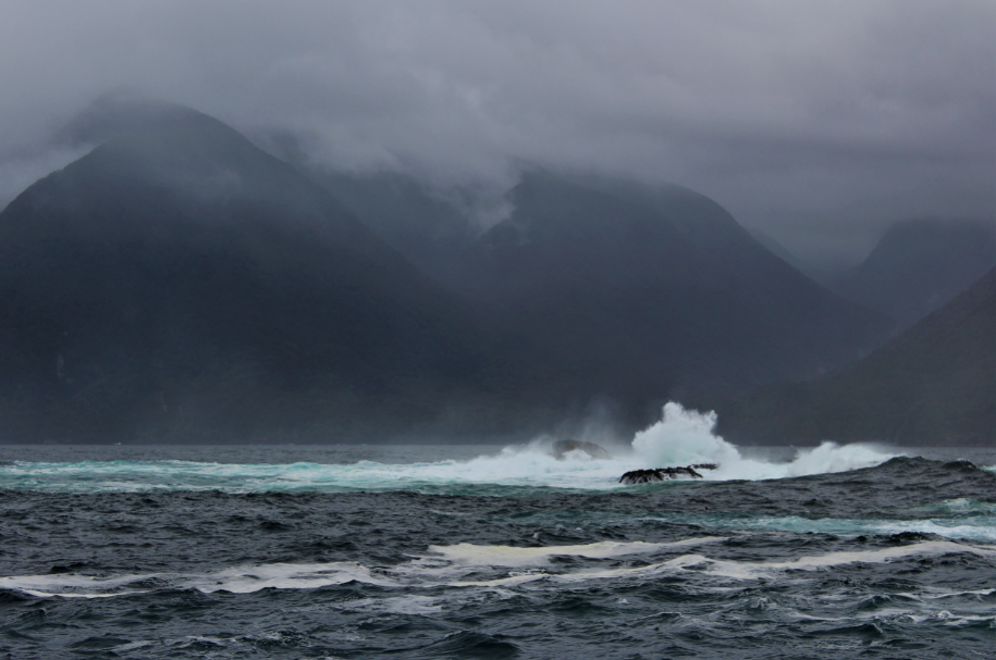 Doubtful Sound. Huge white waves smashing on rocks with moody mountains in the background.