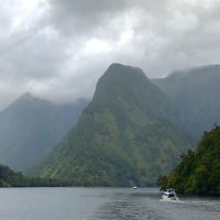 Doubtful Sound - mountains covered in trees rise up from the water, with a small white boat in the foreground for scale.