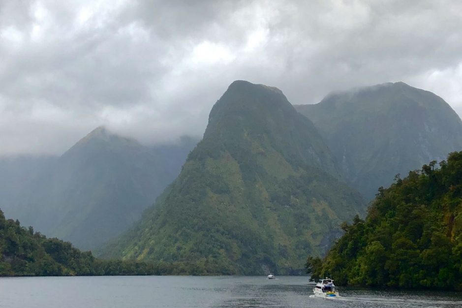 Doubtful Sound - mountains covered in trees rise up from the water, with a small white boat in the foreground for scale.