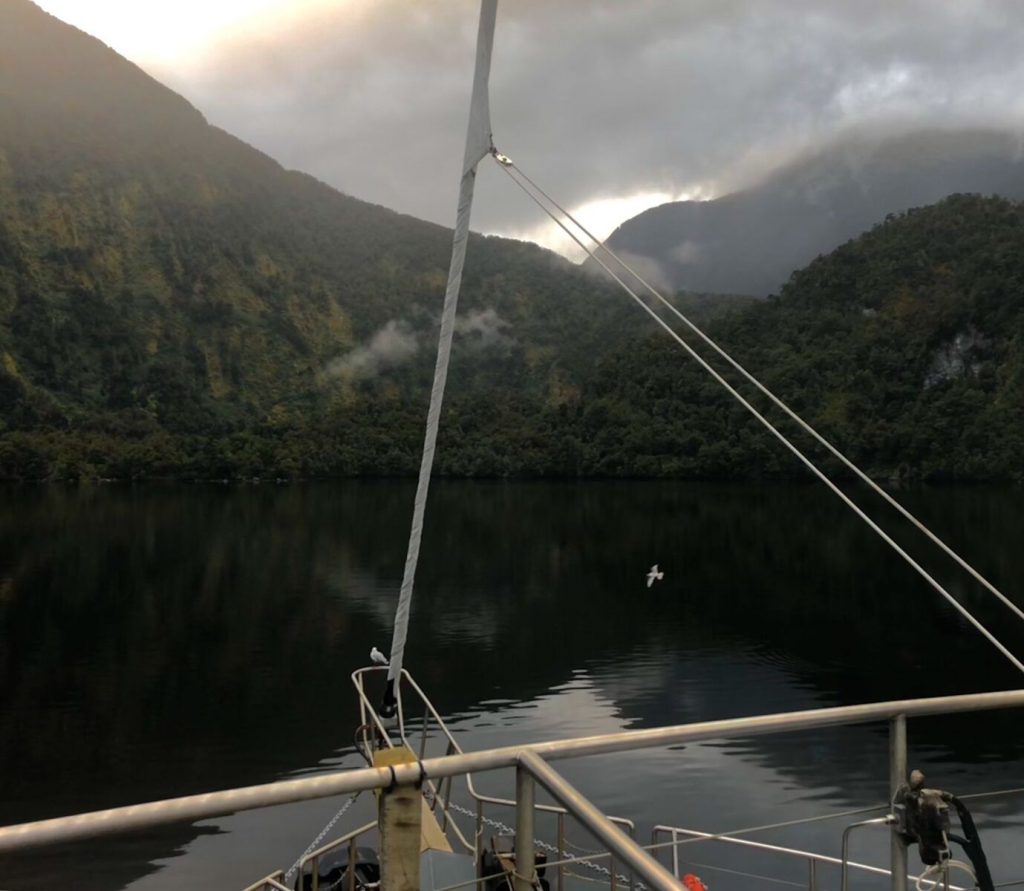 Doubtful Sound. The boat's rigging is in the foreground of the image, framing a white bird that is flying across the smooth still water. In the background, mountains are covered in forest and overhung by cloud. 
