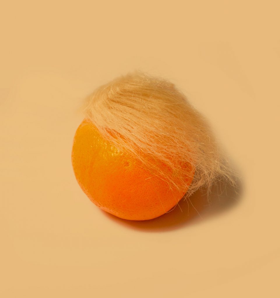 A tangerine with a snippet of blond hair on, to be interpreted as a joke Donald Trump.