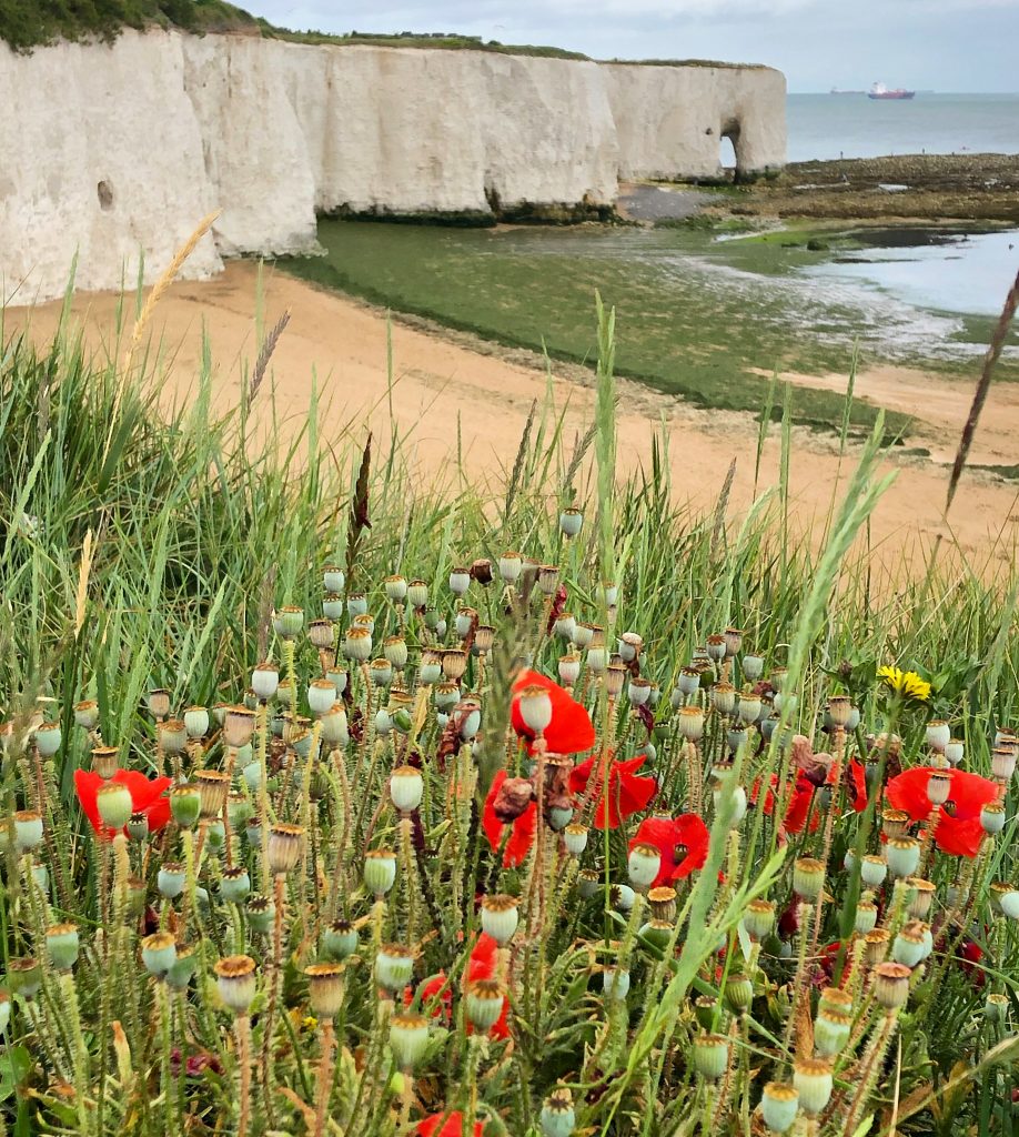 Q2 review - seaside in Kent, with white cliffs in the background and red poppies in the foreground.
